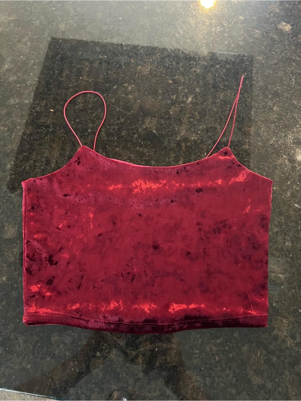 Garage Velvet Spaghetti Strap Crop Top - Burgundy